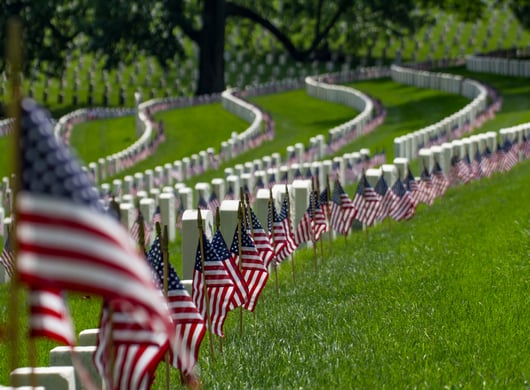 That These Dead Shall Not Have Died in Vain
